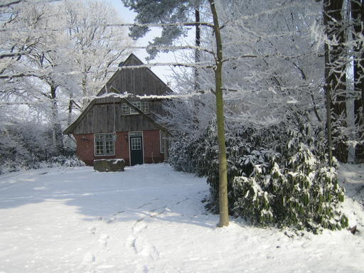 mainimage