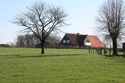 mainimage