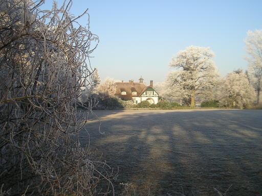 mainimage
