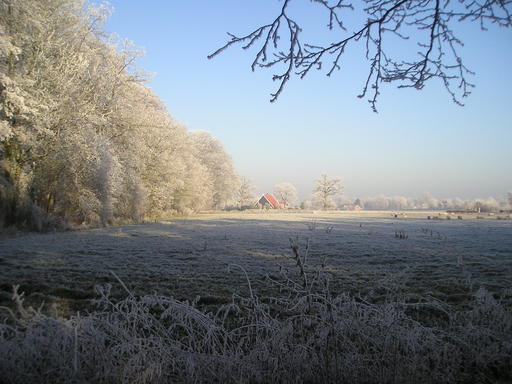 mainimage