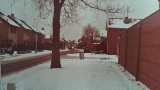 mainimage