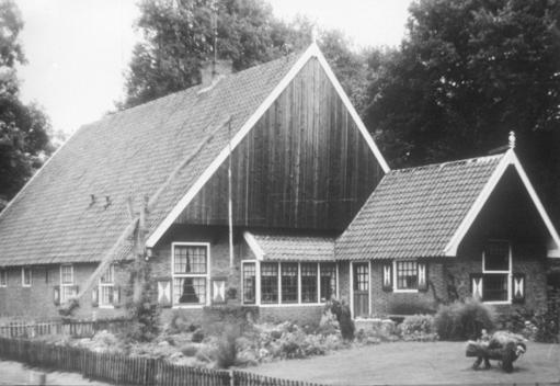 mainimage